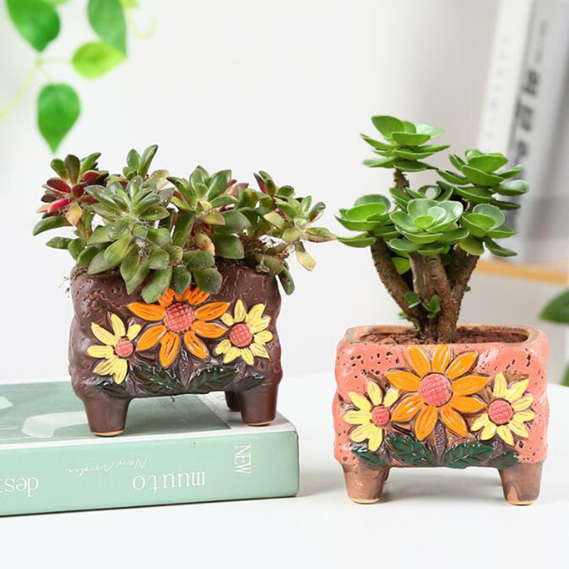Korean Style Succulent Plant P – обзор и цена Korean Desk Setup