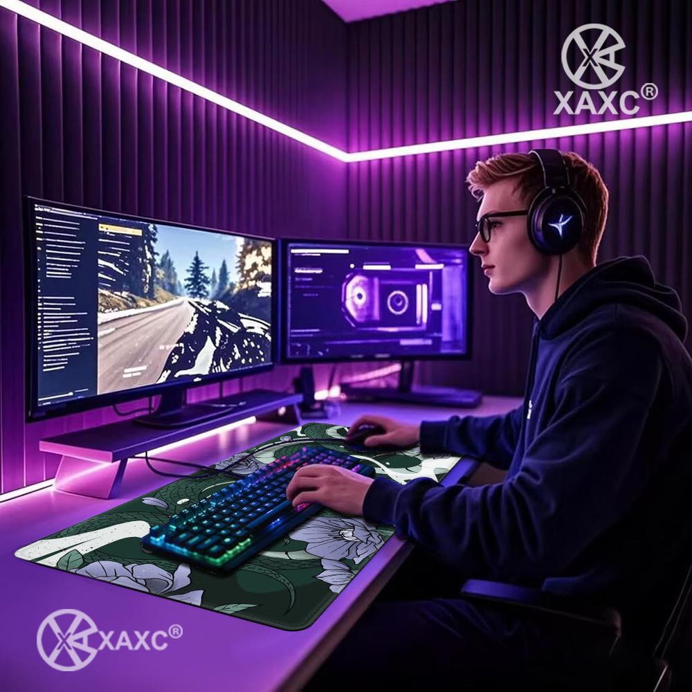 Viper Snake Setup XAXC Mouse P – обзор и цена Desk Setup With Laptop