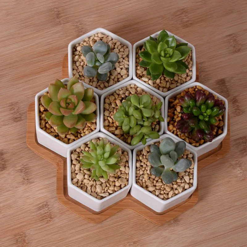 Set of 4/7/9/10 Hexagon Flower – обзор и цена Desk Setup White